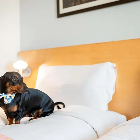 イビス チェストチョワ ホテル 2*