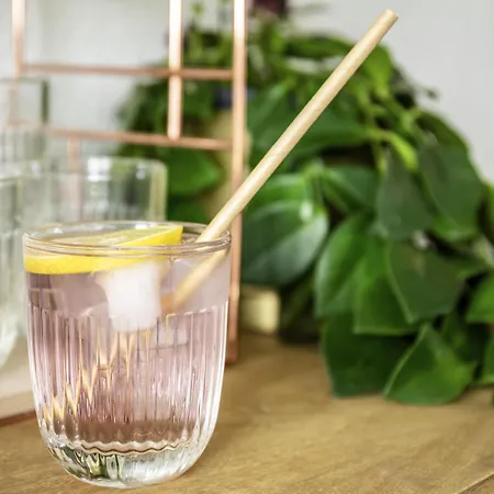 イビス チェストチョワ 2*